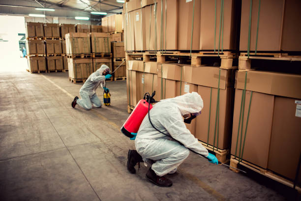 Best Cockroach Control Services  in Diamond, IL