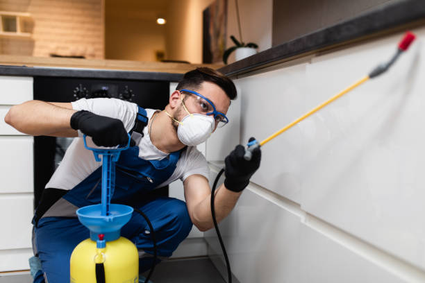 Best Best Pest Control Companies  in Diamond, IL