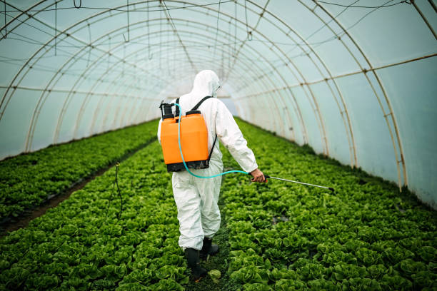 Best Pest Removal Services  in Diamond, IL