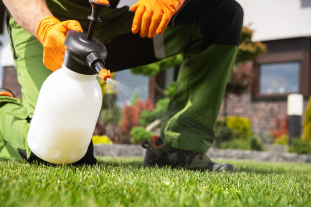 Best Residential Pest Control  in Diamond, IL