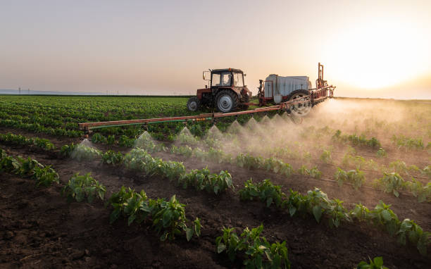 Best Pest Inspection Near Me  in Diamond, IL