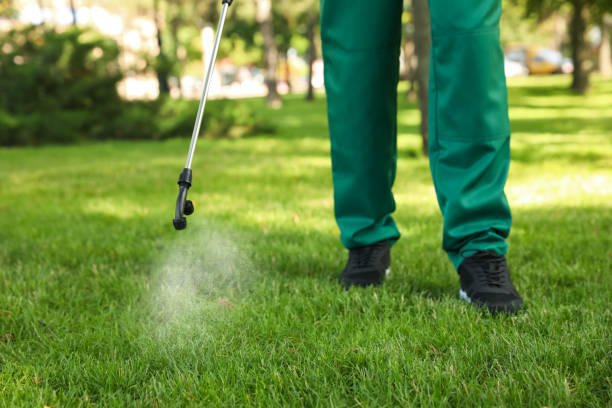Pest Prevention Services in Diamond, IL