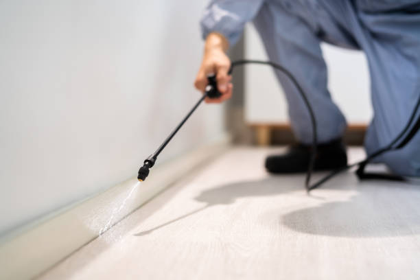 Pest Control Cost in Diamond, IL
