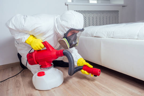 Professional Pest Control in Diamond, IL