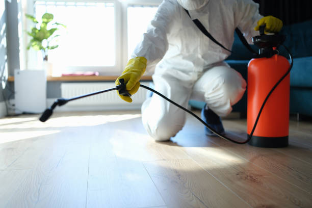 Best Exterminator Services  in Diamond, IL