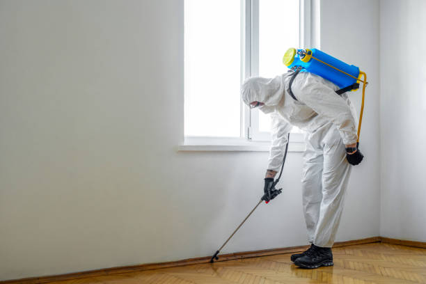 Best Best Pest Control Companies  in Diamond, IL
