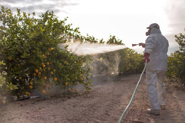 Best Pest Prevention Services  in Diamond, IL