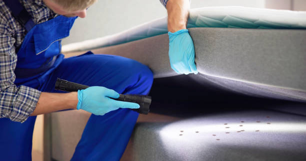 Professional Pest Control in Diamond, IL