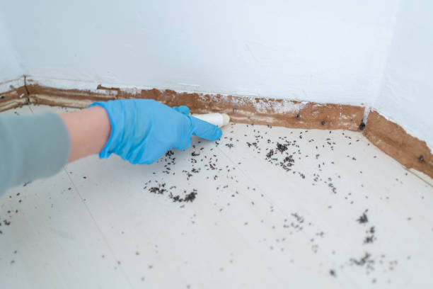  Diamond, IL Pest Control Pros