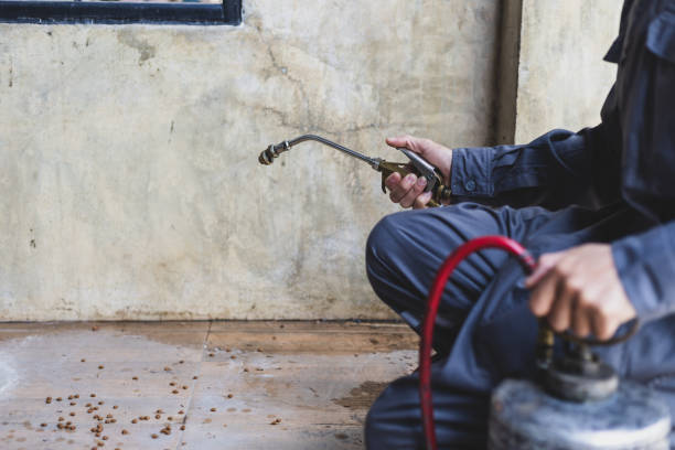 Best Wasp Removal Services  in Diamond, IL