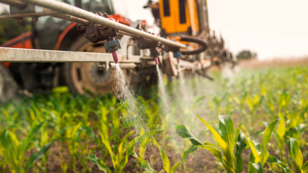 Best Pest Control Cost  in Diamond, IL